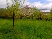 Satılır 28 sot torpaq İsmayıllı