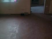 Satılır 2 otaqlı 50 m2 bağ evi Binə