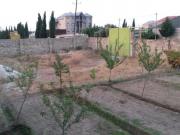 Satılır 7500 sot torpaq Buzovna