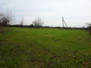 Satılır 25 sot torpaq Lənkəran