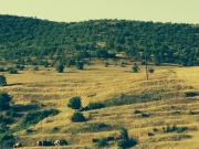 Satılır 2 otaqlı 300 m2 obyekt Quba