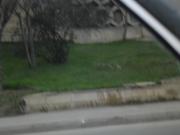 Satılır 500 sot torpaq Gənclik m.