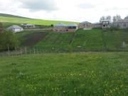 Satılır 12 sot torpaq Şamaxı