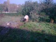 Satılır 500 sot torpaq Lənkəran