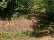 Satılır 80 sot torpaq Xaçmaz