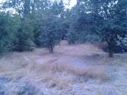 Satılır 4 sot torpaq Xaçmaz