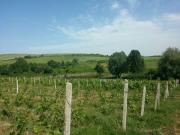 Satılır 500 sot torpaq Şamaxı