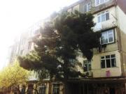 Satılır 3 otaqlı 100 m2 köhnə tikili Əhmədli