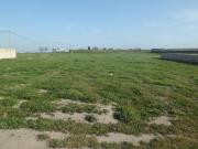 Satılır 600 sot torpaq Buzovna