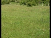 Satılır 6 sot torpaq Xırdalan