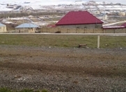 Satılır 3000 sot torpaq Şamaxı