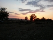 Satılır 200 sot torpaq Şəki