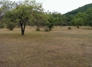 Satılır 32 sot torpaq Quba