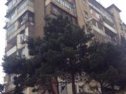 Satılır 2 otaqlı 65 m2 köhnə tikili 9 mkr