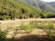 Satılır 50 sot torpaq Şəki