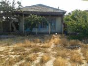 Satılır 2 otaqlı 2200 m2 bağ evi Nardaran