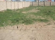 Satılır 14 sot torpaq Buzovna
