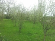 Satılır 10 sot torpaq Quba