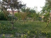 Satılır 400 sot torpaq Xaçmaz