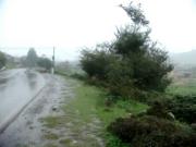 Satılır 31 sot torpaq Lənkəran