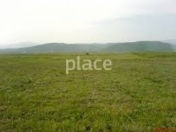 Satılır 12 sot torpaq Şəki