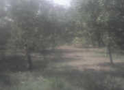 Satılır 35 sot torpaq Tovuz