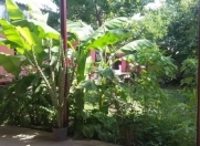 İcarəyə verilir 3 otaqlı 0 m2 bağ evi İsmayıllı