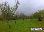 Satılır 10 sot torpaq Mingəçevir