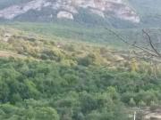 Satılır 12 sot torpaq Şabran