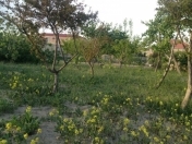 Satılır 5 sot torpaq İsmayıllı