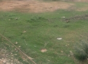 Satılır 10 sot torpaq Xaçmaz