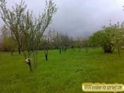 Satılır 8 sot torpaq Quba