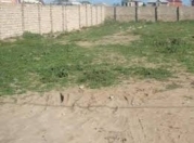 Satılır 14 sot torpaq Buzovna
