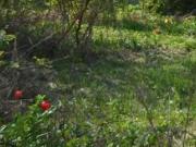 Satılır 22 sot torpaq Sumqayıt