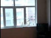 İcarəyə verilir 1 otaqlı 0 m2 yeni tikili Əhmədli