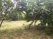 Satılır 6 sot torpaq İsmayıllı