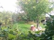 Satılır 250 sot torpaq Sumqayıt