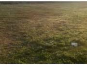 Satılır 2.5 sot torpaq Şabran