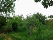 Satılır 0 sot torpaq Sumqayıt