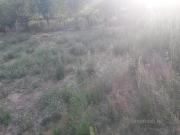 Satılır 10 sot torpaq Quba