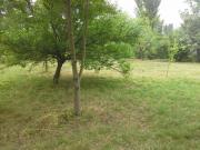 Satılır 15 sot torpaq İsmayıllı