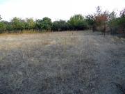 Satılır 800 sot torpaq Quba