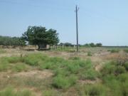 Satılır 6000 sot torpaq Buzovna