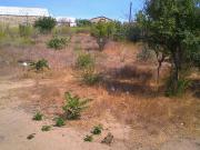 Satılır 2 otaqlı 30 m2 bağ evi Albalı