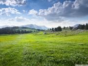 Satılır 100 sot torpaq Şamaxı