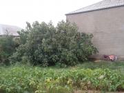 Satılır 2 sot torpaq Sumqayıt