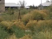 Satılır 5 sot torpaq Naxçıvan