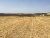 Satılır 315 sot torpaq Şamaxı