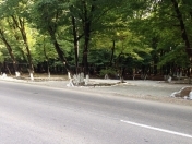 Satılır 1 otaqlı 10000 m2 obyekt İsmayıllı