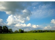 Satılır 150 sot torpaq Qusar